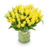 Kytice  tulipánů